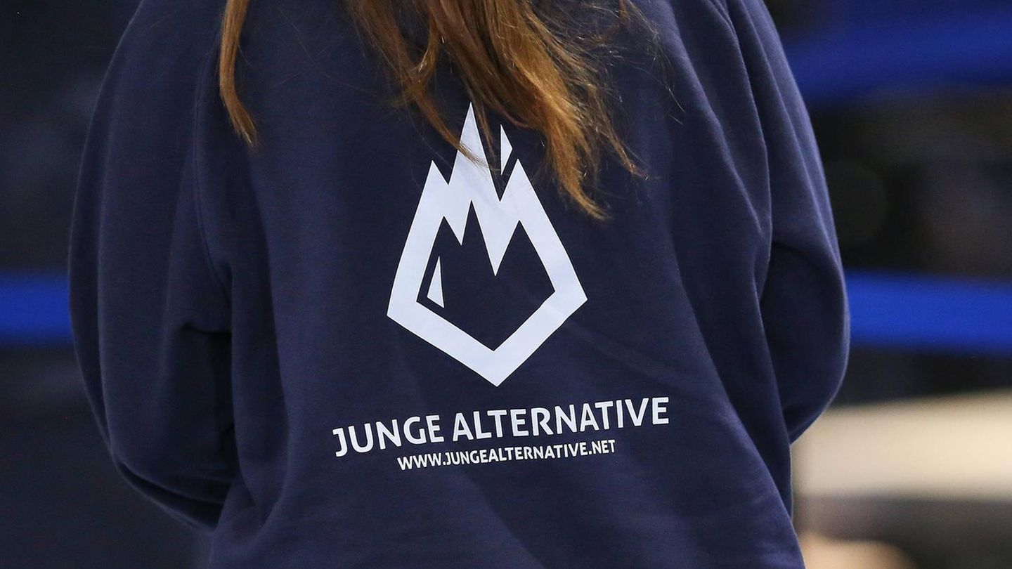 AfD-Nachwuchs: Ein Pullover mit dem Logo der Jungen Alternative