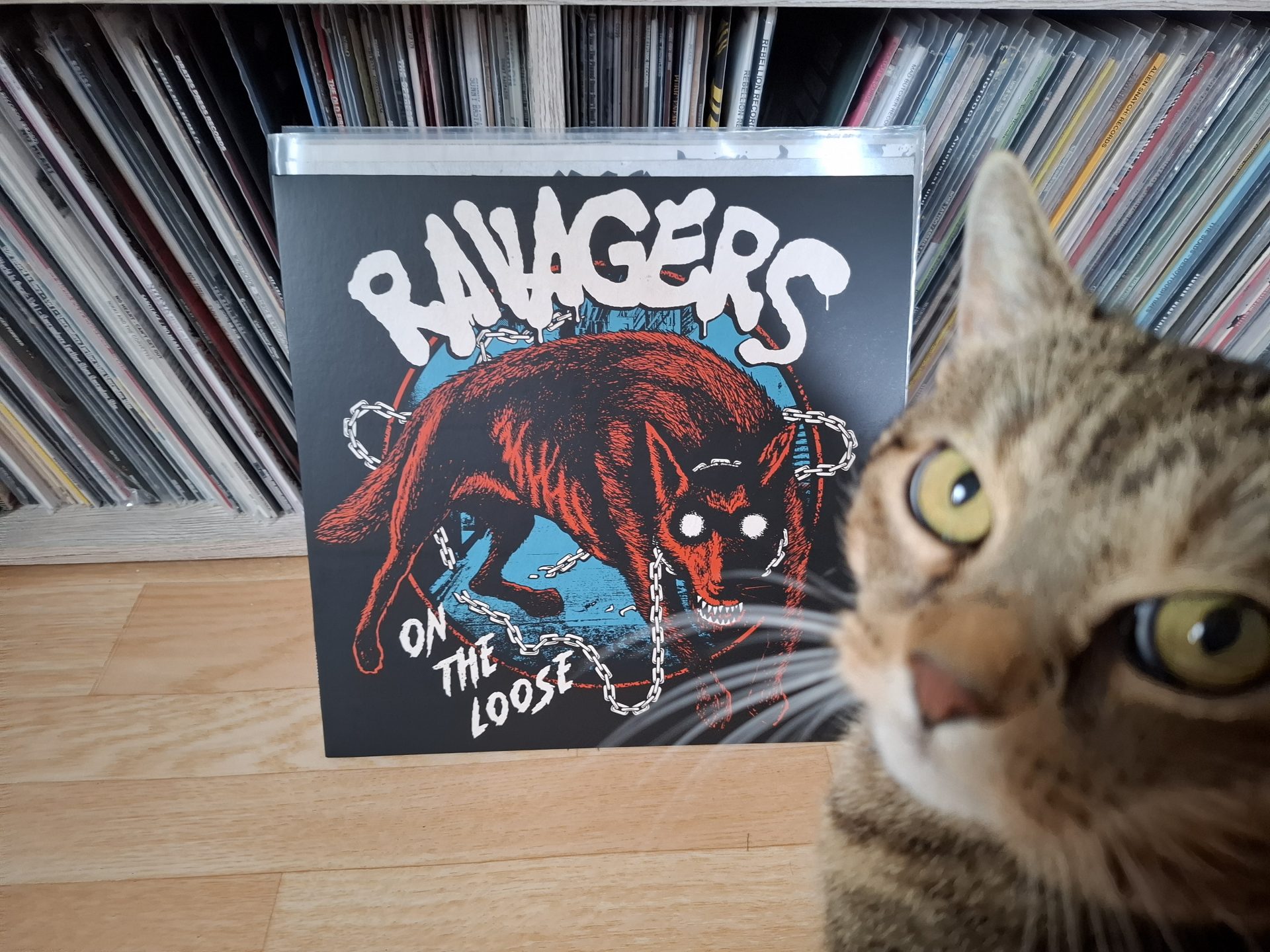 Ravagers - On The Loose
