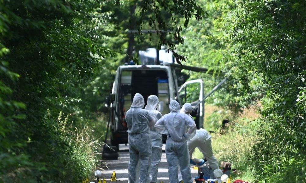 Frau und Kleinkind liegen tot an Waldweg – Mordkommission ermittelt