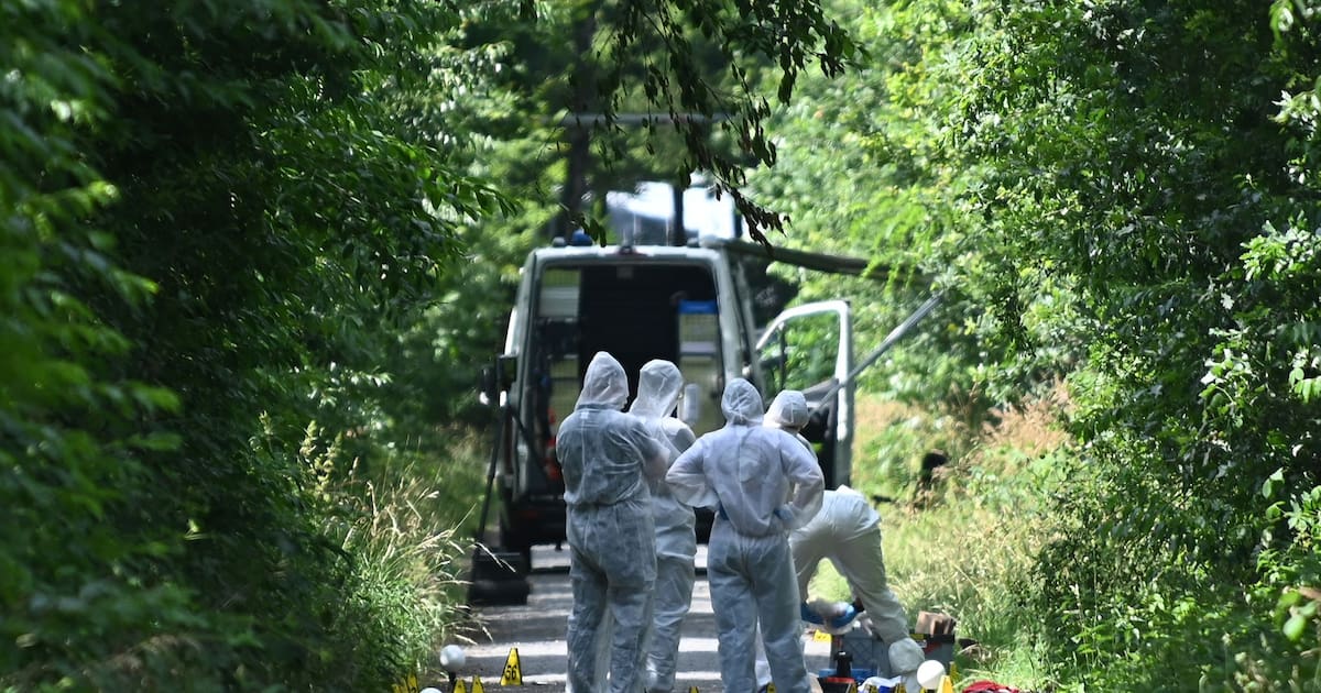 Frau und Kleinkind liegen tot an Waldweg – Mordkommission ermittelt
