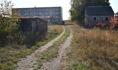Wohnen im Osten – Wohnungsmarkt Ost: Abriss unumgänglich