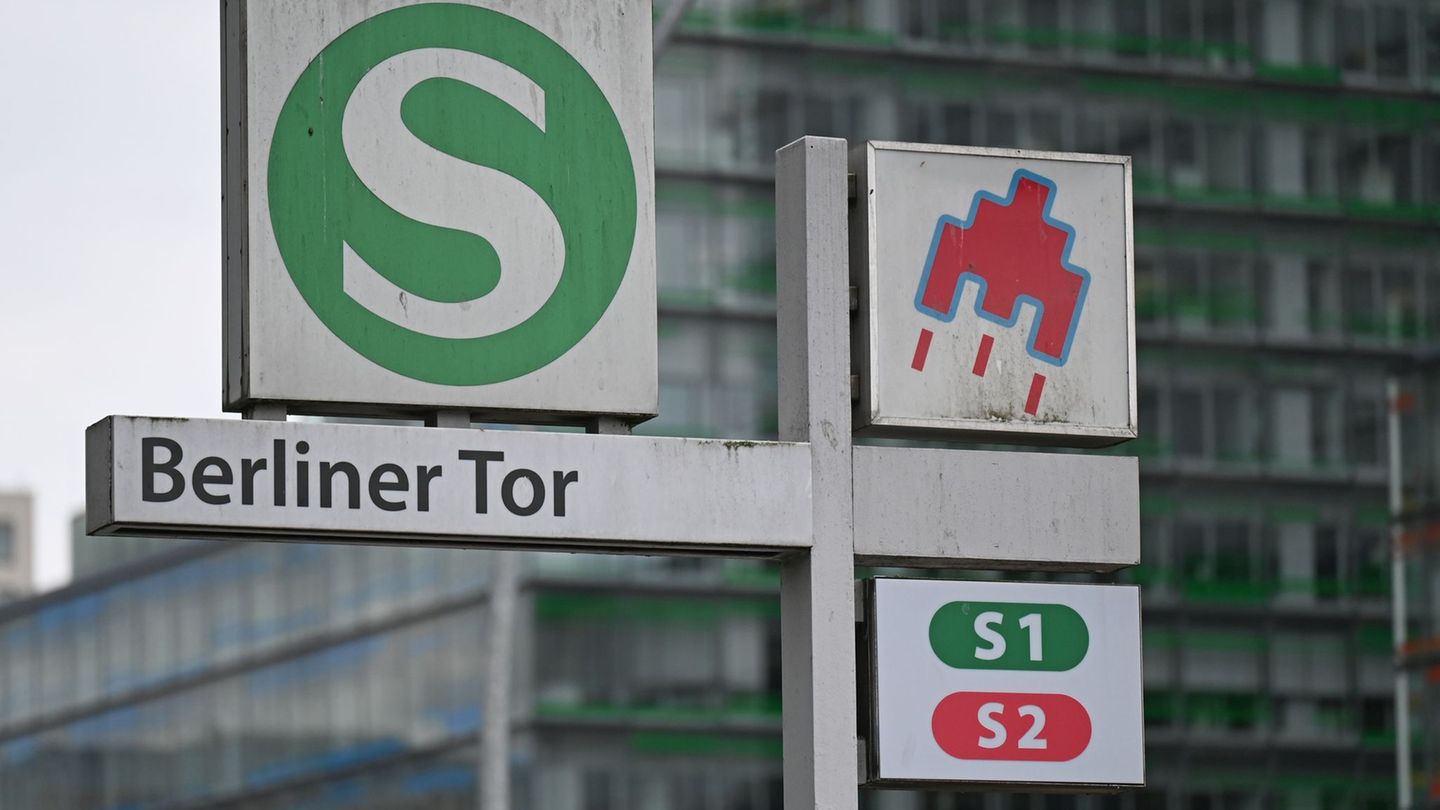 Ein junger Mann stürzt am S-Bahnhof Berliner Tor in die Gleise. (Symbolbild) Foto: David Hammersen/dpa