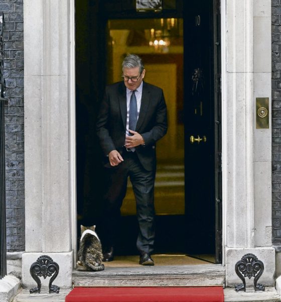 Großbritannien – Starmers glückloses Jahr