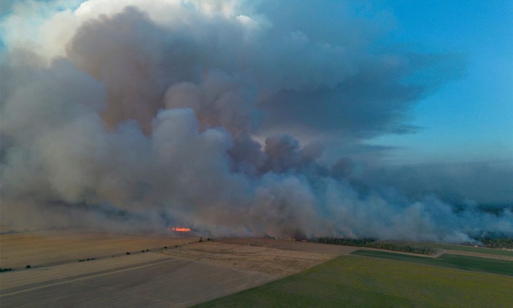 Mehrere Waldbrände halten Feuerwehren im Osten in Atem