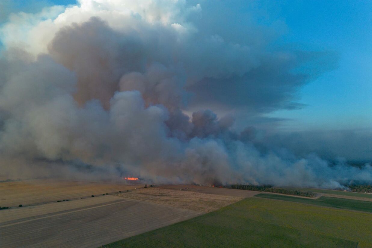 Mehrere Waldbrände halten Feuerwehren im Osten in Atem