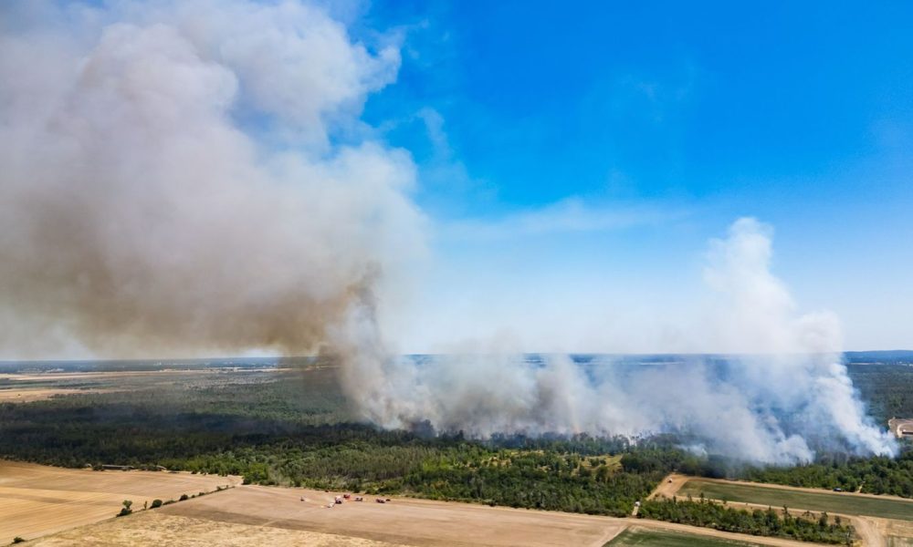 Der Waldbrand in der Gohrischheide hat sich ausgedehnt. Foto: Robert Michael/dpa