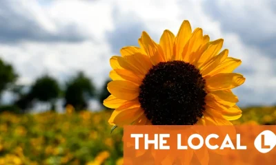 A sunny forecast, travel tips and a dramatic change in foreign policy