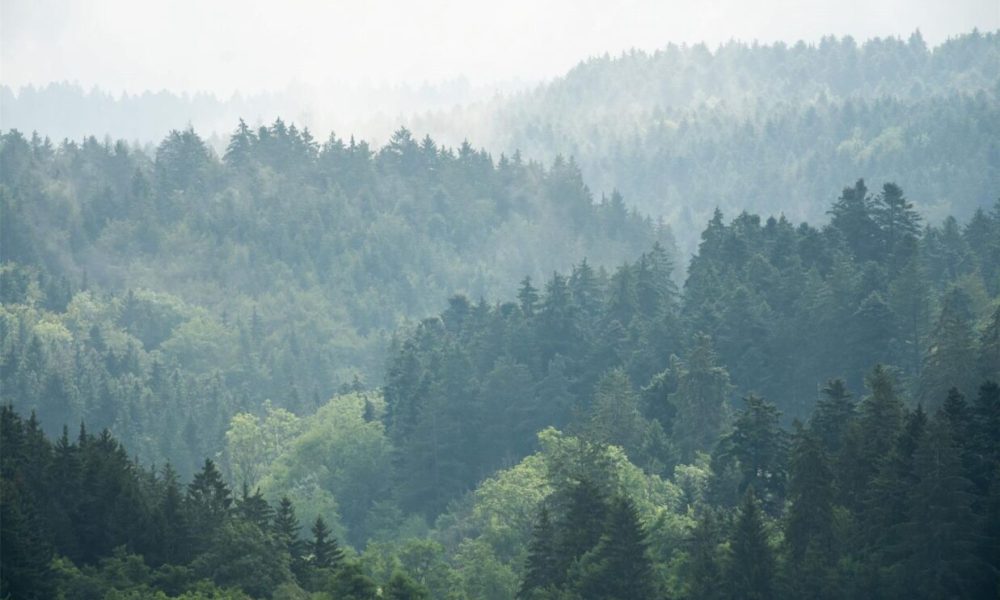 Tschüss Grau: Sonnigeres Wetter zur Wochenmitte