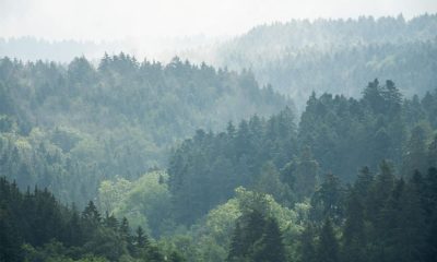 Tschüss Grau: Sonnigeres Wetter zur Wochenmitte