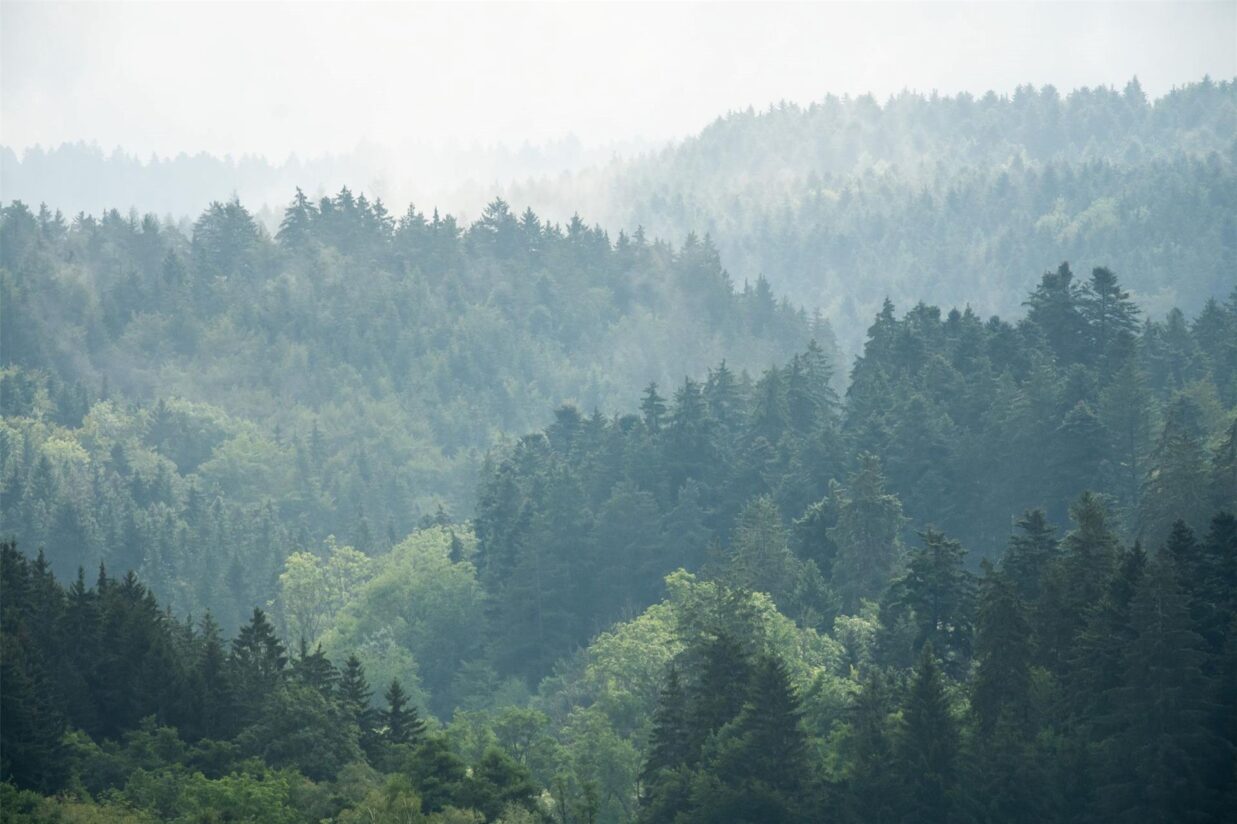 Tschüss Grau: Sonnigeres Wetter zur Wochenmitte