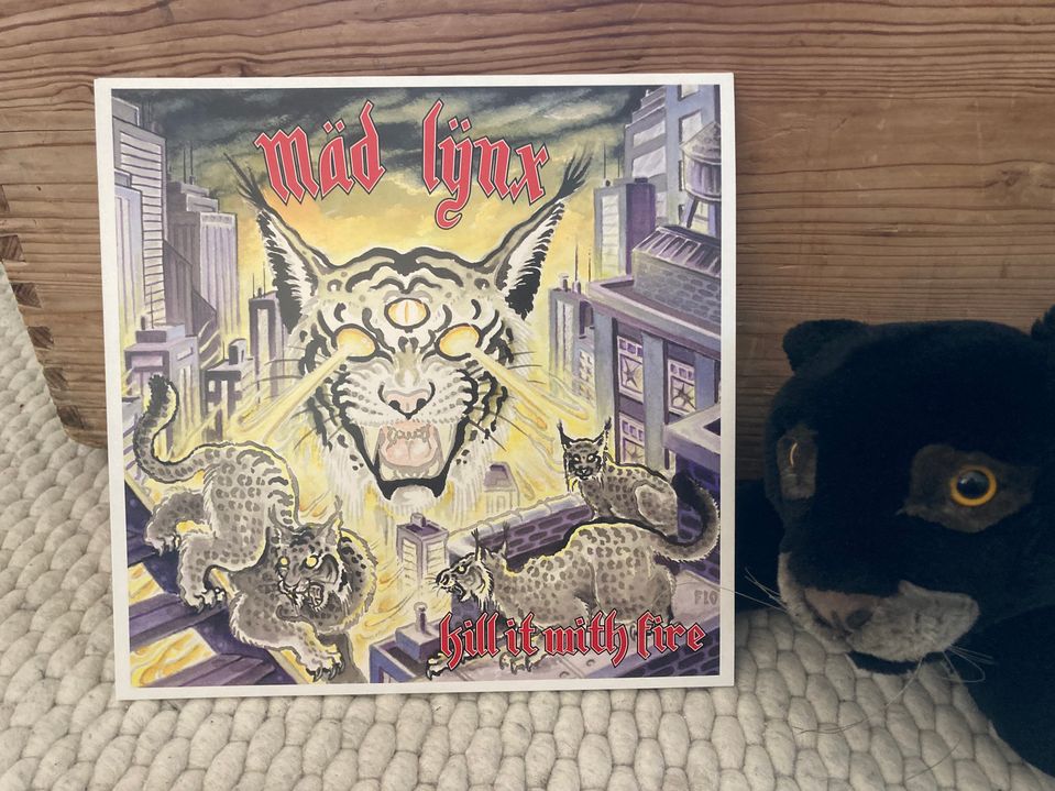 Mäd Lÿnx - Kill It With Fire 1
