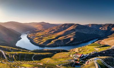 Ein Herbsttraum für Wein- und Naturliebhaber
