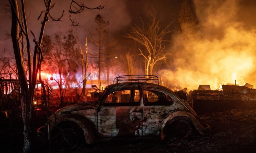 Flächenbrände verursachen weltweit immer immensere Schäden