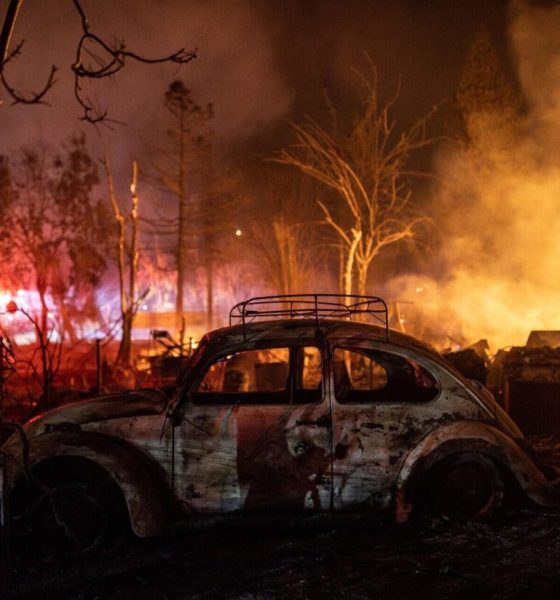 Flächenbrände verursachen weltweit immer immensere Schäden
